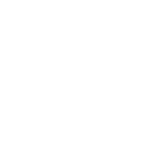 Wolfram|Alpha Notebook Edition icon